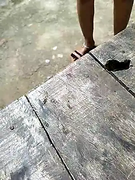 sexy  girls98 online show from 12-03-25, 05:48