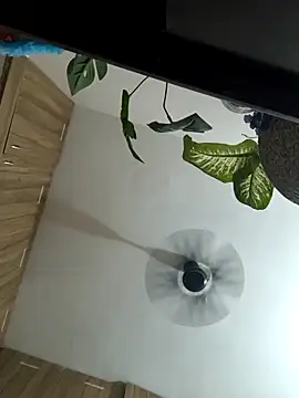 Spoorthi6 Kannada Telugu online show from 03-08-26, 04:33