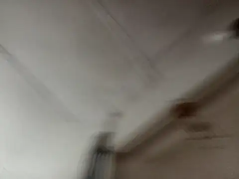 isabella brown1 online show from 03-19-26, 11:09