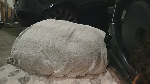 Gmajor online show from 12-15-25, 01:32