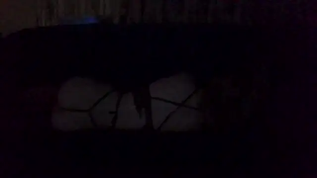 Snapshot of Rupoles chatting on 11-01-25, 01:13 Rupoles online show from 11-01-25, 01:13