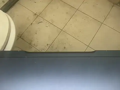 LustyDuoSecrets online show from 11-03-25, 04:30