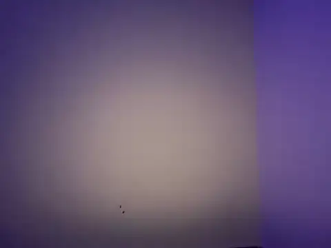 LustyDuoSecrets online show from 11-11-25, 06:19