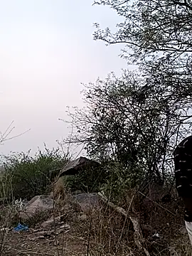 Nisha Sassmaxxx online show from 04-26-26, 01:09