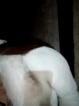 Phuong xxx online show from 02-12-26, 11:49