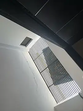 HeerStd online show from 03-13-26, 02:29