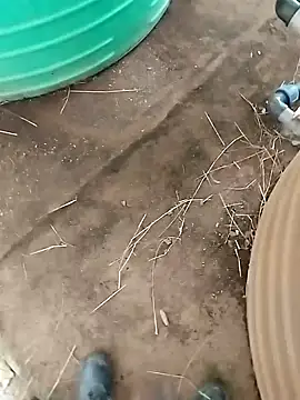 BigboyDick2 online show from 10-20-25, 12:38