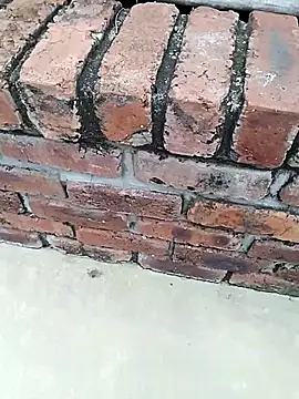 BigboyDick2 online show from 11-14-25, 09:08