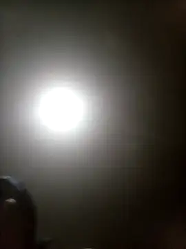 Bebicho14 online show from 03-17-26, 04:17