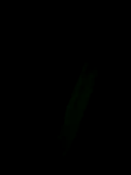 Snapshot of Marleymols chatting on 12-02-25, 01:55 Marleymols online show from 12-02-25, 01:55