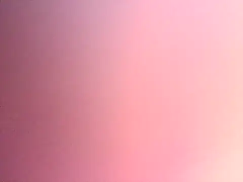 Dropdingo online show from 11-13-25, 11:14