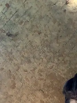 uniquesexyboy5689 online show from 11-27-25, 10:50