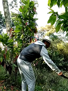 AlphaAlterX online show from 02-28-26, 01:23