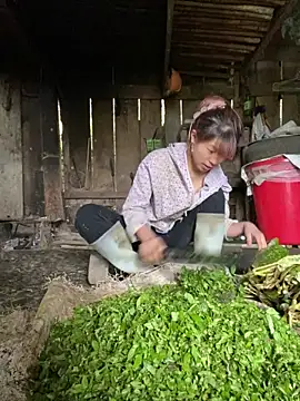 Mai bb online show from 11-06-25, 07:42