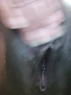 Yadi 738xx online show from 09-17-25, 10:50