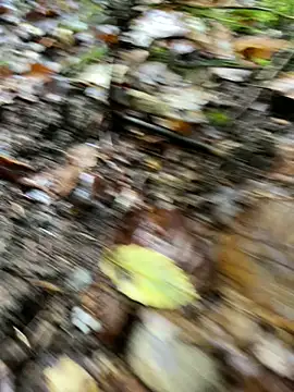 Snapshot of andymatthisbwc chatting on 10-05-25, 03:43 andymatthisbwc online show from 10-05-25, 03:43