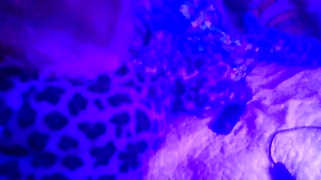 Snapshot of prettymaa chatting on 02-19-26, 06:53 prettymaa online show from 02-19-26, 06:53