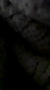 LanaAce719 online show from 10-13-25, 07:41