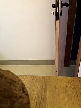 oconnnel online show from 12-14-25, 05:40