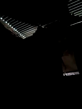 Gustavo1135e online show from 10-13-25, 11:10