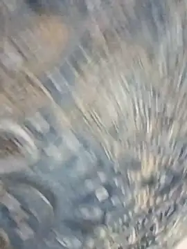 HAANNIAA online show from 12-02-25, 11:04