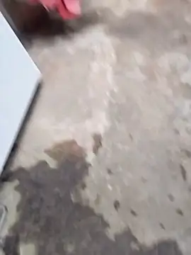 sertaonegro online show from 03-04-26, 12:55