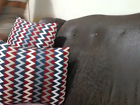 bustylaura4u online show from 07-28-26, 10:53