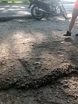 charlotte dante212 online show from 04-24-26, 12:51