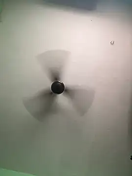 Snapshot of tamil_Nila_ chatting on 09-15-25, 09:53 tamil Nila  online show from 09-15-25, 09:53