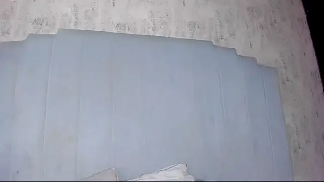 shanty cole online show from 07-11-26, 12:19