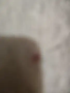 sert erkekk online show from 01-13-26, 09:42