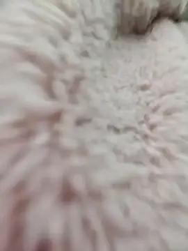 Tin tanny online show from 01-15-26, 12:59