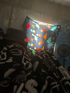 Snapshot of FromVnz chatting on 11-15-25, 12:45 FromVnz online show from 11-15-25, 12:45