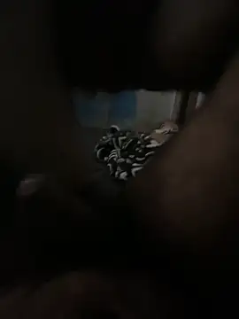 Snapshot of FromVnz chatting on 11-21-25, 12:37 FromVnz online show from 11-21-25, 12:37