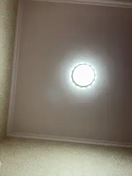 Xinlan-Asia online show from 04-21-26, 12:00