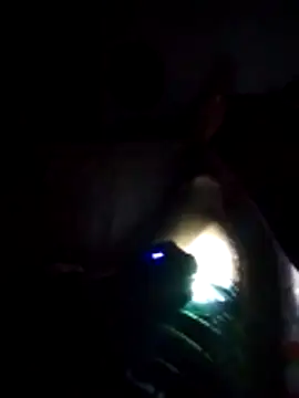 D22Ad online show from 12-20-25, 03:57