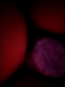  tetas 92 online show from 04-21-26, 01:53