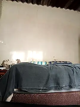 Snapshot of average_price chatting on 10-08-25, 04:21 average price online show from 10-08-25, 04:21