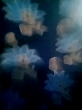 your favourite bhabhi online show from 11-02-25, 01:46