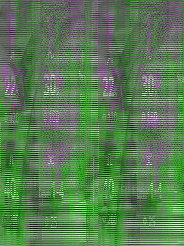 riyaroy134  online show from 09-18-25, 05:31