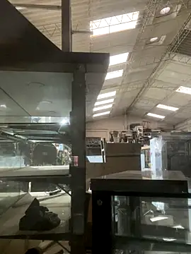 True Di online show from 12-14-25, 11:15