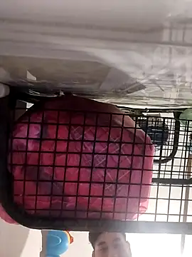 Ferxxxo1503 online show from 11-05-25, 06:24