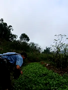 Snapshot of kemtuoi-sex chatting on 10-03-25, 01:13 kemtuoi-sex online show from 10-03-25, 01:13