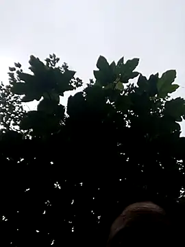 Snapshot of kemtuoi-sex chatting on 10-19-25, 11:05 kemtuoi-sex online show from 10-19-25, 11:05