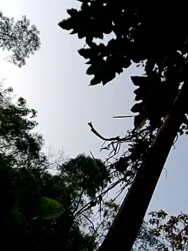 kemtuoi-sex online show from 01-11-26, 11:54