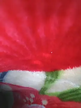 Chanderi19 online show from 04-23-26, 11:40