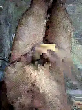 ash706339 online show from 09-19-25, 06:52