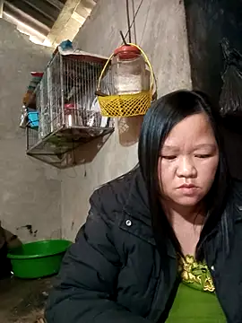 riso-00 online show from 01-09-26, 06:49