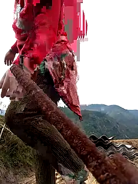 Snapshot of SSexykute3456 chatting on 11-24-25, 01:49 SSexykute3456 online show from 11-24-25, 01:49