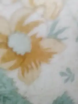 haryanaboypanipat12 online show from 03-27-26, 01:00